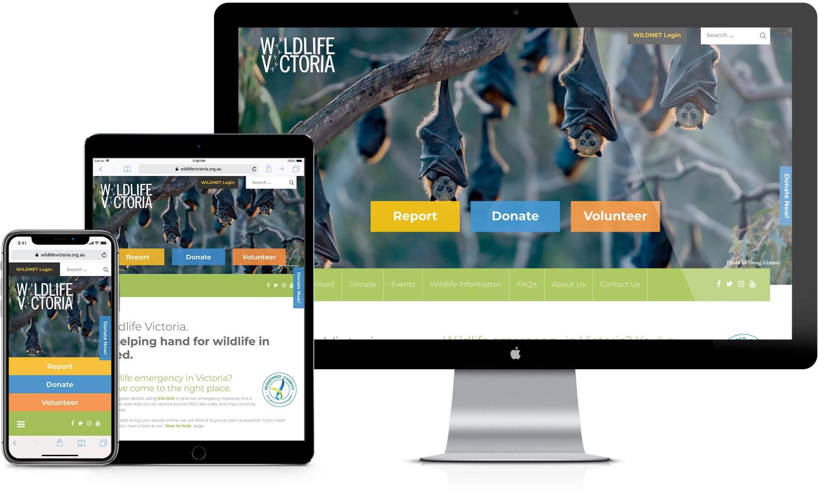 Wildlife Victoria responsive example